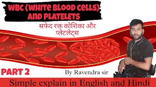 Blood || (WBC & PLATELETS) || formation || types of WBC || function || by Ravendra sir.