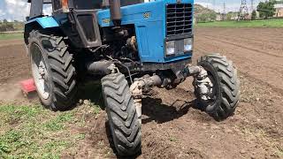 Tractor Mtz in work