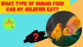 What type of human food can my goldfish eat?