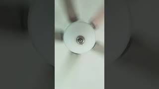 Wobbly ceiling fan 13#