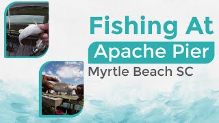 How To Catch Fish Apache Pier Myrtle Beach SC | Pier Fishing Tips | #pierfishing