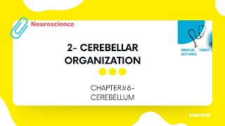 Cerebellar organization | CHAPTER#6- CEREBELLUM.