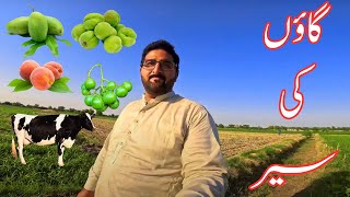 Meray Khubsurat Gaon Ki Sair Punjab, Pakistan | Village Life Natural Scenes | Rural Life of Punjab