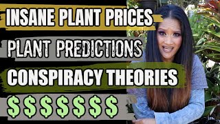 Insane Plant Prices - Predictions & Theories + Changing How I Buy Plants, Houseplant Haul