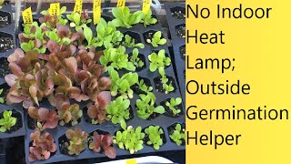 (Video 72) Portable, Mini-Greenhouses For Seeds In Cold Weather | Winter Outside Seed Germination