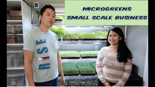 A mini tour of our small scale microgreens home business | How To Grow Microgreens Mini Series