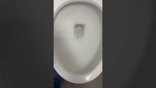 Zurn toilet dry bowl test