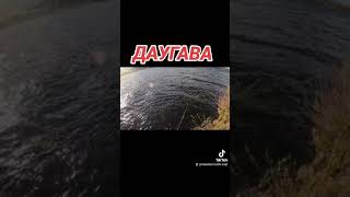 #fishing2024 #fishing #ribalka #fypシ゚viral #fypシ゚viral #baltic