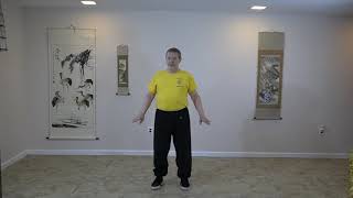 Medical Qigong:  Four Gates, White Crane Soft, and Lung Qigong