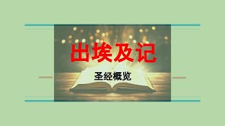 圣经概览02#出埃及记#摩西#以色列#法老#神迹#审判#基督#救赎#恩典#福音#释放