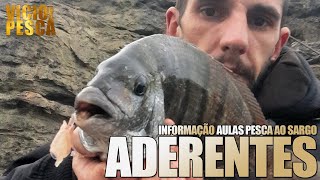 INFORMAÇÃO ADERENTES CURSO DE PESCA AO SARGO (Actualização) #Pesca #sargo #viciodapesca