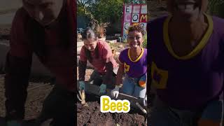 Buzzing with Meekah: Pollinators and Plant Pals! | Meekah Short Educational videos - #Shorts #Meekah