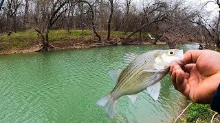 catching some nice fish AKA sandbass Creek Fishing