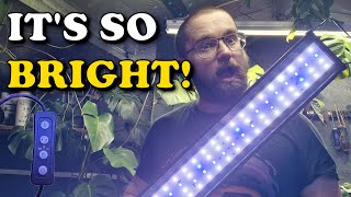 AMAZING VALUE LED | AQQA Full Spectrum Aquarium Light With Timer