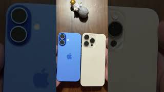 iPhone 16 vs iPhone 16 Pro Max