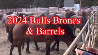 Coombs Rodeo experience the thrill of bulls broncs & Barrels 2024! #genelyskitchen