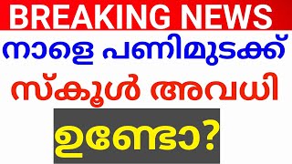 BREAKING NEWS:നാളെ പണിമുടക്ക്!സംസ്ഥാനത്തെ സ്‌കൂളുകൾക്ക് അവധി ഉണ്ടോ?school avadhi news Kerala.kerala