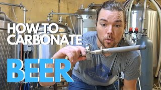 C02 Explained: How to Carbonate Beer 🍺