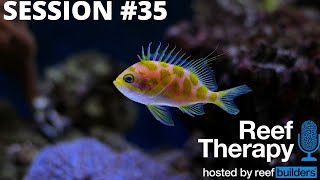 Lots of Reef Tank Talk & a Little About Regulation | #35