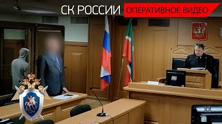 Вынесен приговор жителю Казани, признанному виновным в нападениях на пожилых женщин