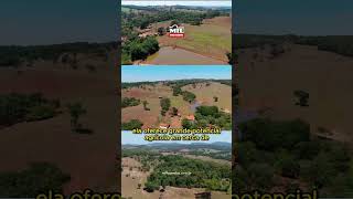 Fazenda de 36 alqueires (176 hectares) em Itaberaí #fazendaavenda  #agro