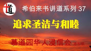 追求圣洁与和睦#来12:12-17#希伯来书讲道系列 37#基督 #福音 #信心#律法#贪恋#世俗#谨慎#失败