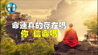 人的命真的是天注定嗎？科學實驗告訴我們，命運或許真的存在！