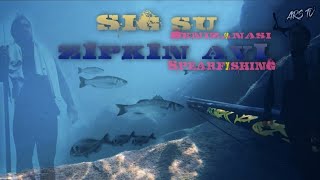 SIĞ SU ZIPKINLA BALIK AVI 16. (BÖLÜM 1)  spearfishing levrek denizanası #diving #spearfishing #dive