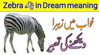 Khwab Ki Tabeer | Zebra in dream meaning | khwab mein zebra dekhna ki Tabeer