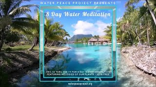 DEC 14 DAY 3 OF 8 DAY Water Meditation & Consciousness Experiment with Plant Music