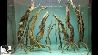 HOW TO Make Tree for Aquascape |Membuat Aquascape|水草造景