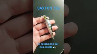 🌅🌊🌊🌊🎣 SAXTON 75S #lightspinning #spinning #fishing #lightrockfishing