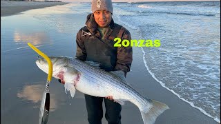 rato de tarde pescando despues que paso un cardumen y vean lo que atrapo joge striped pesca