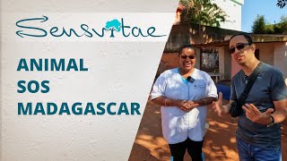 Reportage Animal SOS Madagascar, refuge pour chien à Antananarivo