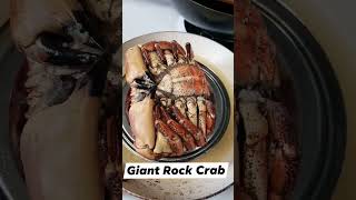 Giant Rock Crab