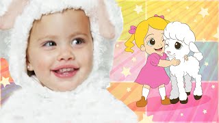 Mary Had a Little Lamb | Cute Lullaby