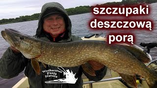 SZCZUPAKI DESZCZOWĄ PORĄ NA RÓŻNE PRZYNĘTY/TROLLING/SPINNING