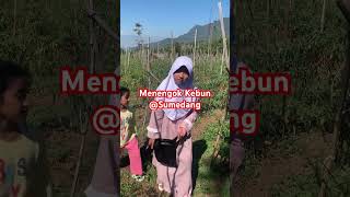 Menengok Kebun di Tanjungsari Sumedang