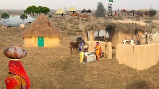 Desert life style || water pond || animals || cholistan rohi || punjab pakistan