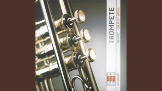 Oboe Concerto in D Minor Op. 9 No. 2: I. Allegro ma non presto (arr. for organ and trumpet)