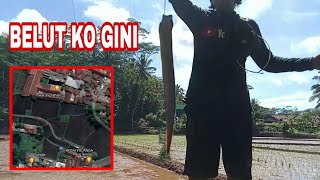 NGUREK mancing BELUT DI SATU KOLAM HASILNYA MANTAP urek belutbabon