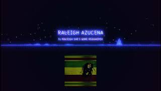 DJ RALEIGH SHE S GONE REGGAEMIX