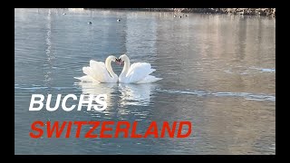 Buchs Switzerland 🇨🇭 Swiss village tour ☀️ The most beautiful villages in Switzerland!!!!!