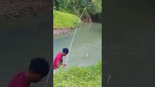 Mancing ikan tawes teknik pecut #shorts