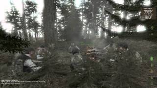 DayZ - A realistic campfire simulator