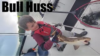 Bull Huss fishing in Cornwall, Catching Bull Huss Estuary fishing