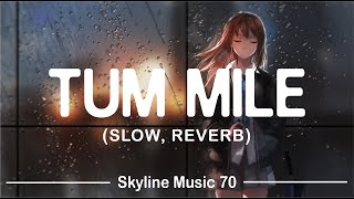 Tum Mile (Slow + Reverb) Lo-Fi Cover || Sung by Javed Ali || Skyline Music 70