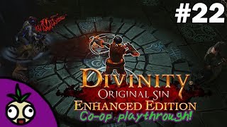 Mission Accomplished? | Ankford & Friend Plays: Divinity Original Sin Co-op! | Part 22