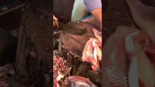 Fish cutting #viralvideo #viralshorts #fishrecipes #grillfish #pakistan