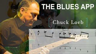 チャックローブの知的なアプローチ満載！Chuck Loeb's Blues solo